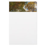 Looking Up to Fall Leaves II Autumn Nature Stationery