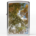 Looking Up to Fall Leaves II Autumn Nature Zippo Lighter