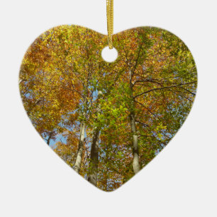 Looking Up to Fall Leaves III Colorful Foliage Ceramic Ornament