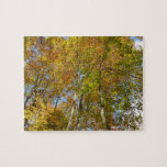 Looking Up to Fall Leaves III Colorful Foliage Jigsaw Puzzle