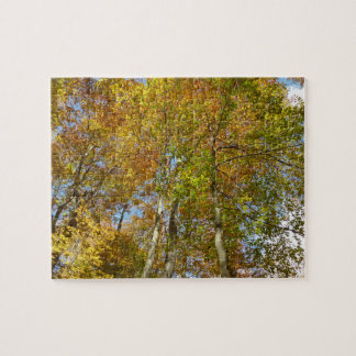 Looking Up to Fall Leaves III Colorful Foliage Jigsaw Puzzle