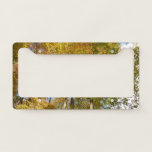 Looking Up to Fall Leaves III Colorful Foliage License Plate Frame