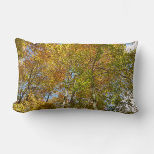 Looking Up to Fall Leaves III Colorful Foliage Lumbar Pillow