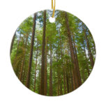 Looking Up to Old Growth Forest Ceramic Ornament