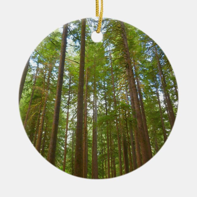 Looking Up to Old Growth Forest Ceramic Ornament (Front)