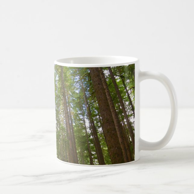 Looking Up to Old Growth Forest Coffee Mug (Right)