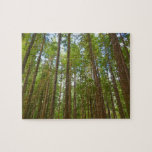 Looking Up to Old Growth Forest Jigsaw Puzzle