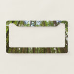 Looking Up to Old Growth Forest License Plate Frame