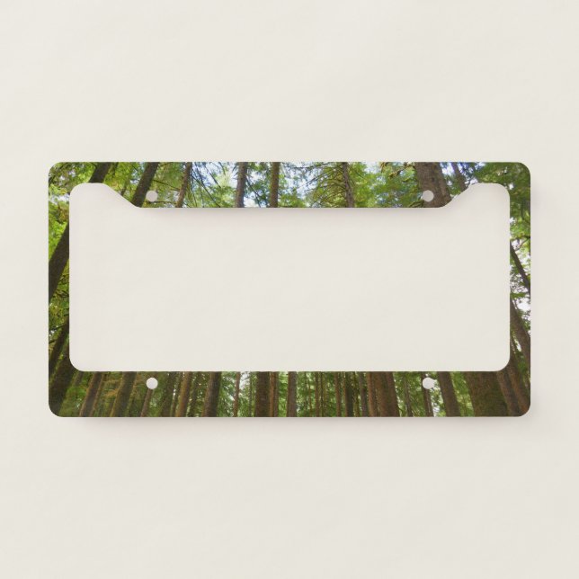 Looking Up to Old Growth Forest License Plate Frame (Front)