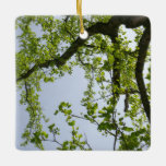 Looking Up to Spring Poplar Tree Ceramic Ornament