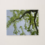 Looking Up to Spring Poplar Tree Jigsaw Puzzle