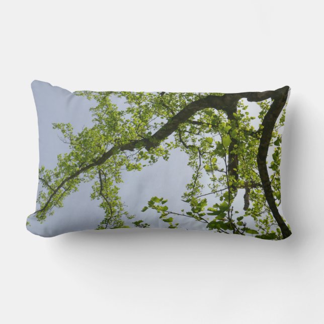 Looking Up to Spring Poplar Tree Lumbar Pillow (Front)