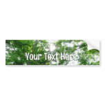 Looking Up to Summer Trees Bumper Sticker