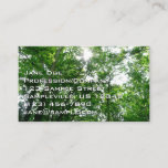 Looking Up to Summer Trees Business Card