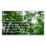 Looking Up to Summer Trees Business Card Magnet