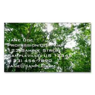 Looking Up to Summer Trees Business Card Magnet