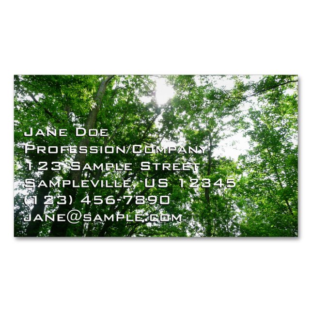Looking Up to Summer Trees Business Card Magnet (Front)