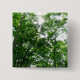 Looking Up to Summer Trees Button