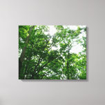 Looking Up to Summer Trees Canvas Print
