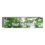 Looking Up to Summer Trees Car Magnet