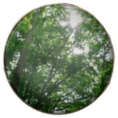 Looking Up to Summer Trees Chocolate Covered Oreo (Front)