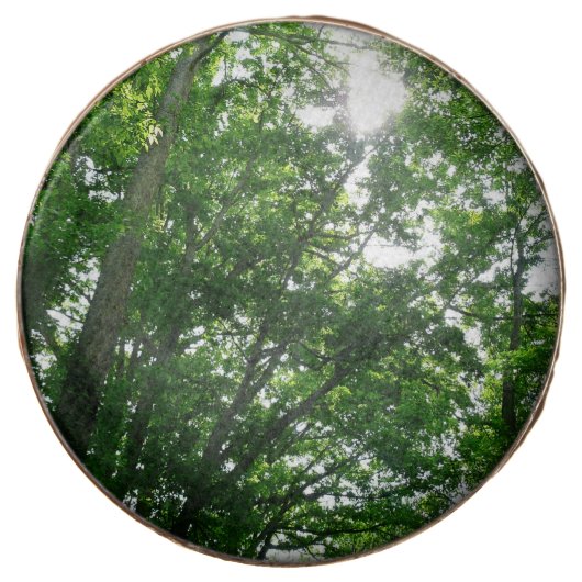 Looking Up to Summer Trees Chocolate Covered Oreo (Front)