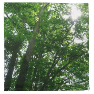 Looking Up to Summer Trees Cloth Napkin