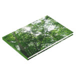 Looking Up to Summer Trees Guest Book
