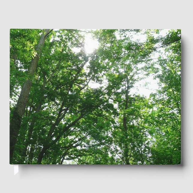 Looking Up to Summer Trees Guest Book (Front)