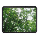 Looking Up to Summer Trees Hitch Cover