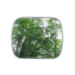 Looking Up to Summer Trees Jelly Belly Candy Tin