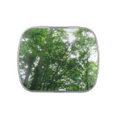 Looking Up to Summer Trees Jelly Belly Candy Tin (Top)