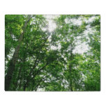 Looking Up to Summer Trees Jigsaw Puzzle
