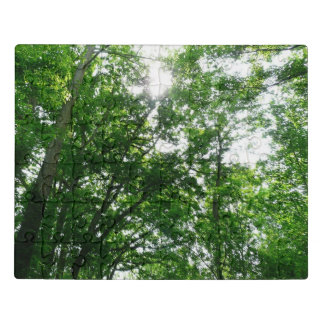 Looking Up to Summer Trees Jigsaw Puzzle