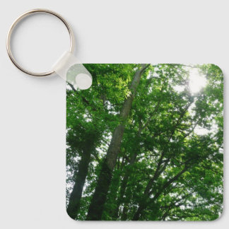 Looking Up to Summer Trees Keychain