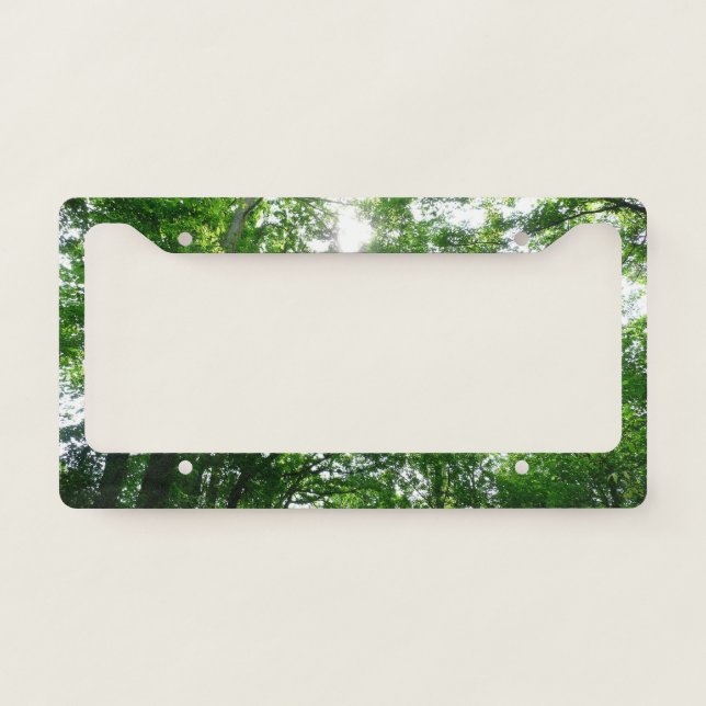 Looking Up to Summer Trees License Plate Frame (Front)