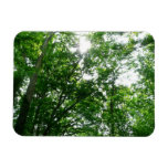 Looking Up to Summer Trees Magnet