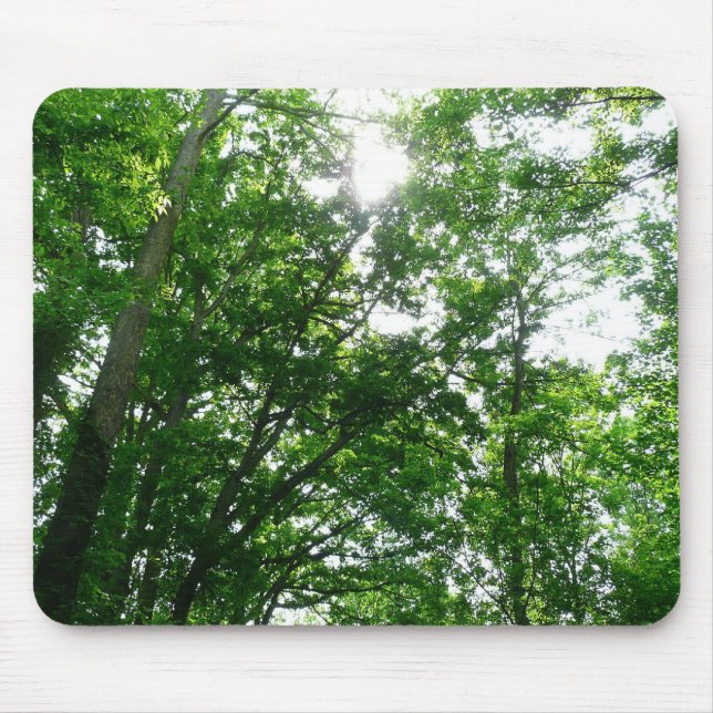 Looking Up to Summer Trees Mouse Pad (Front)