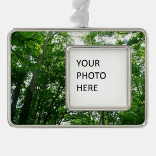 Looking Up to Summer Trees Ornament