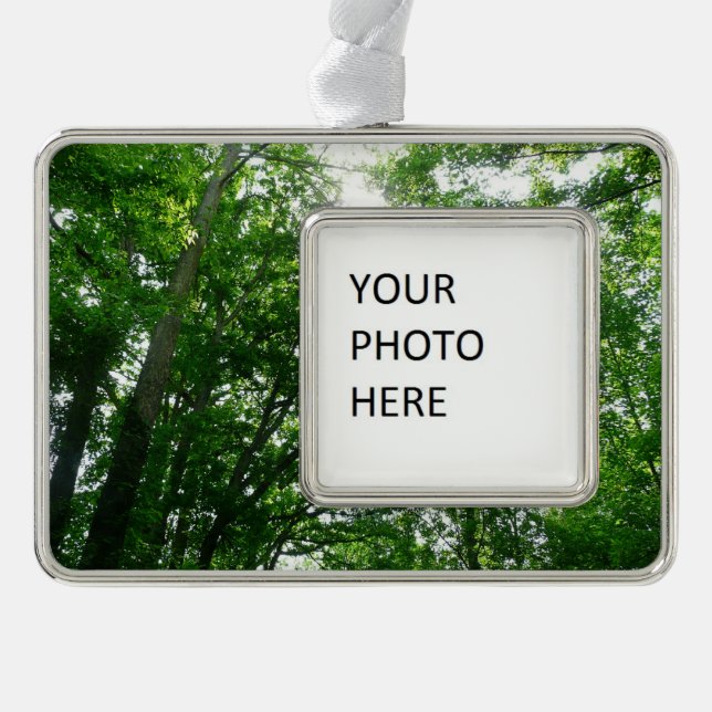 Looking Up to Summer Trees Ornament (Front)