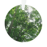 Looking Up to Summer Trees Ornament