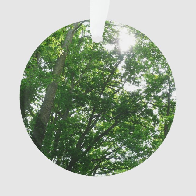 Looking Up to Summer Trees Ornament (Front)