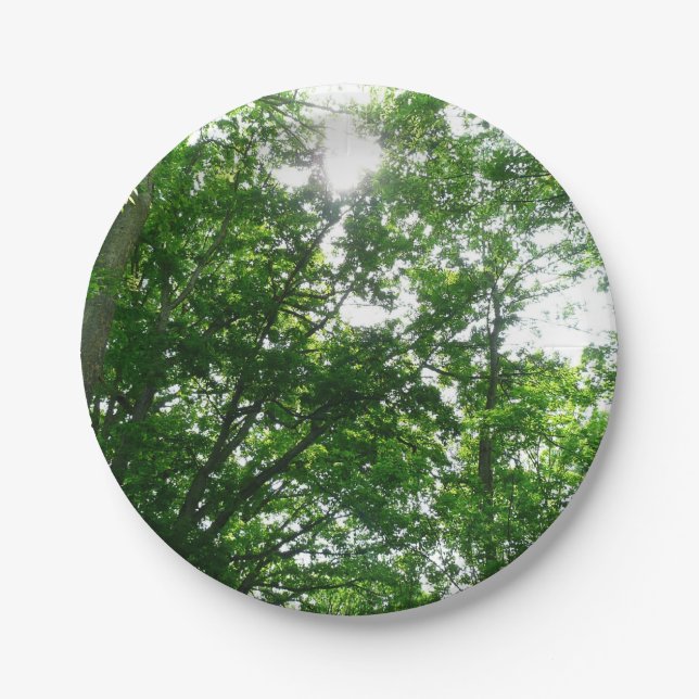 Looking Up to Summer Trees Paper Plates (Front)