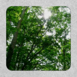 Looking Up to Summer Trees Patch