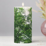 Looking Up to Summer Trees Pillar Candle