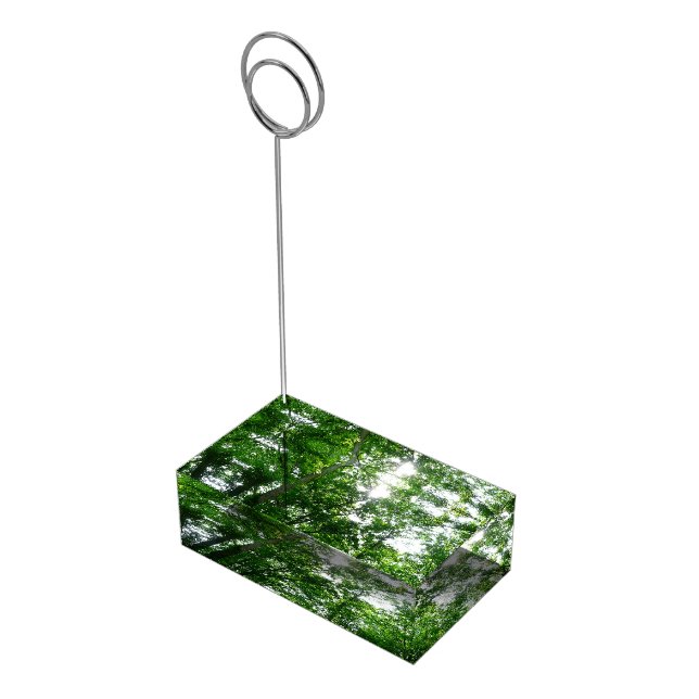Looking Up to Summer Trees Place Card Holder (Corner)