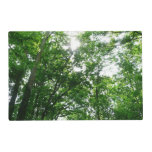 Looking Up to Summer Trees Placemat