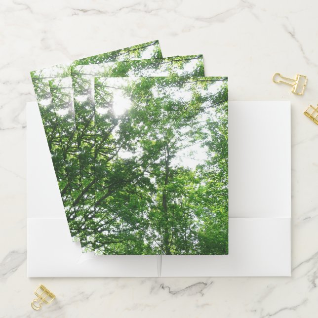 Looking Up to Summer Trees Pocket Folder (In Situ)