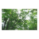Looking Up to Summer Trees Rectangular Sticker