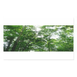 Looking Up to Summer Trees Rectangular Sticker